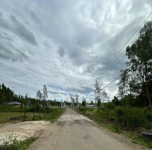 Лесная Аллея кп фото