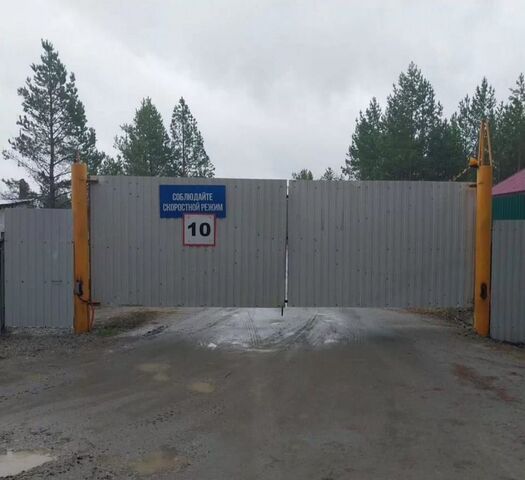 сад СНТ КоллективныйN1 г. о. Верхняя Пышма, Монетный фото