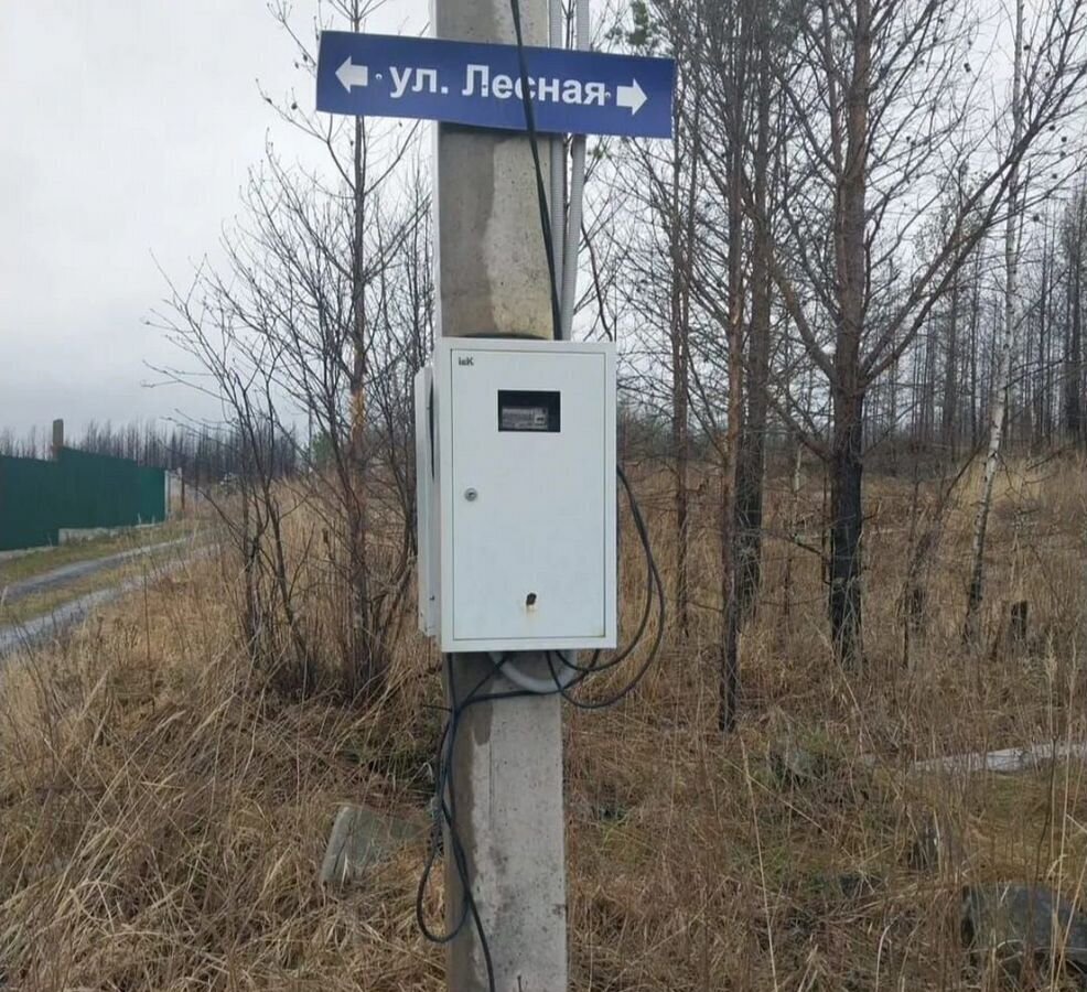 земля г Верхняя Салда сад СНТ КоллективныйN1 г. о. Верхняя Пышма, Монетный фото 3