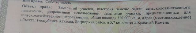 Пригорск фото