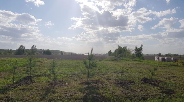 земля снт Серебряный бор ТСН фото