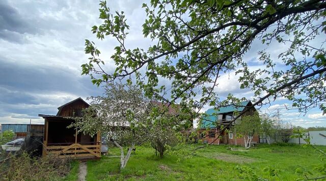 днт Родничок-2 ул Облепиховая 272 Есаульский сельсовет, ДНТ фото