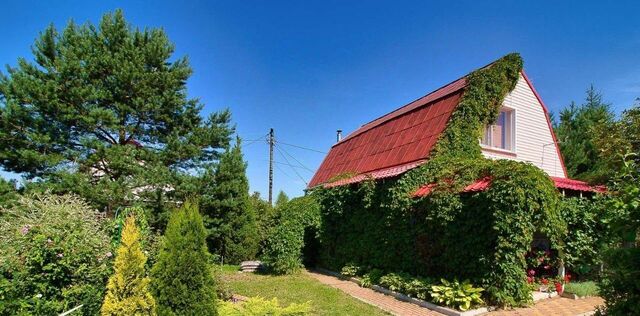 снт Нерль Боголюбовское муниципальное образование фото