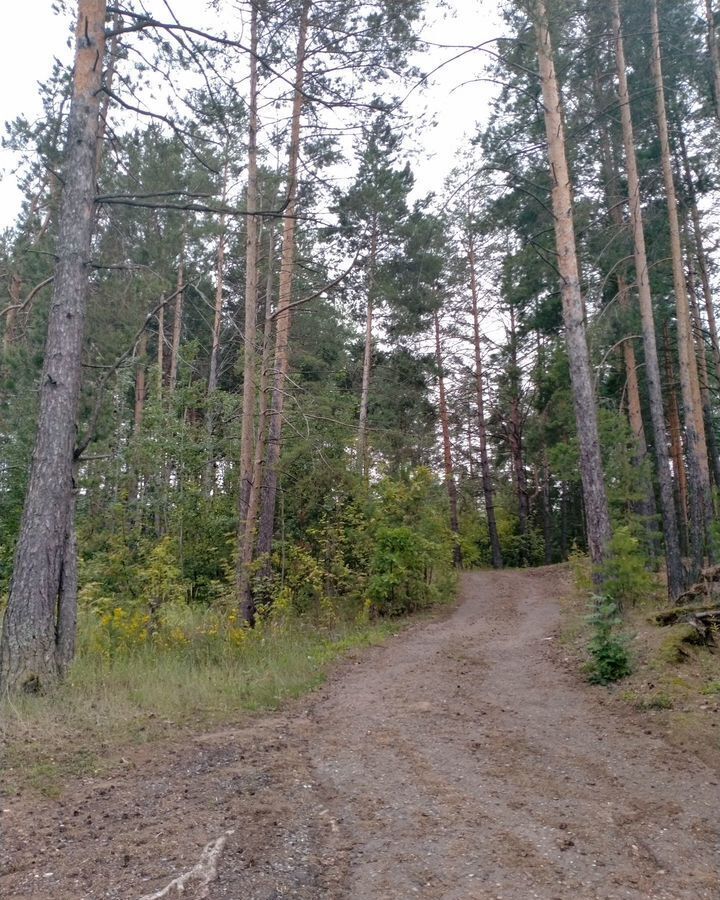 земля р-н Нижнекамский г Нижнекамск Республика Татарстан Татарстан, Каенлинское сельское поселение, СНТ Нефтехимик 5 фото 12