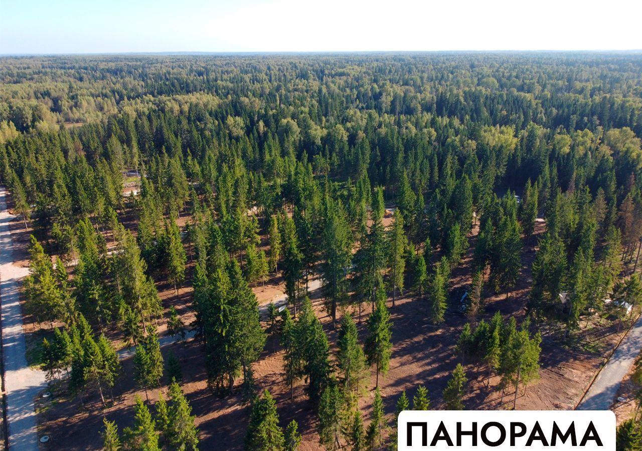 земля г Клин 54 км, эко-посёлок Ели эстейт, Новопетровское, Ленинградское шоссе фото 15