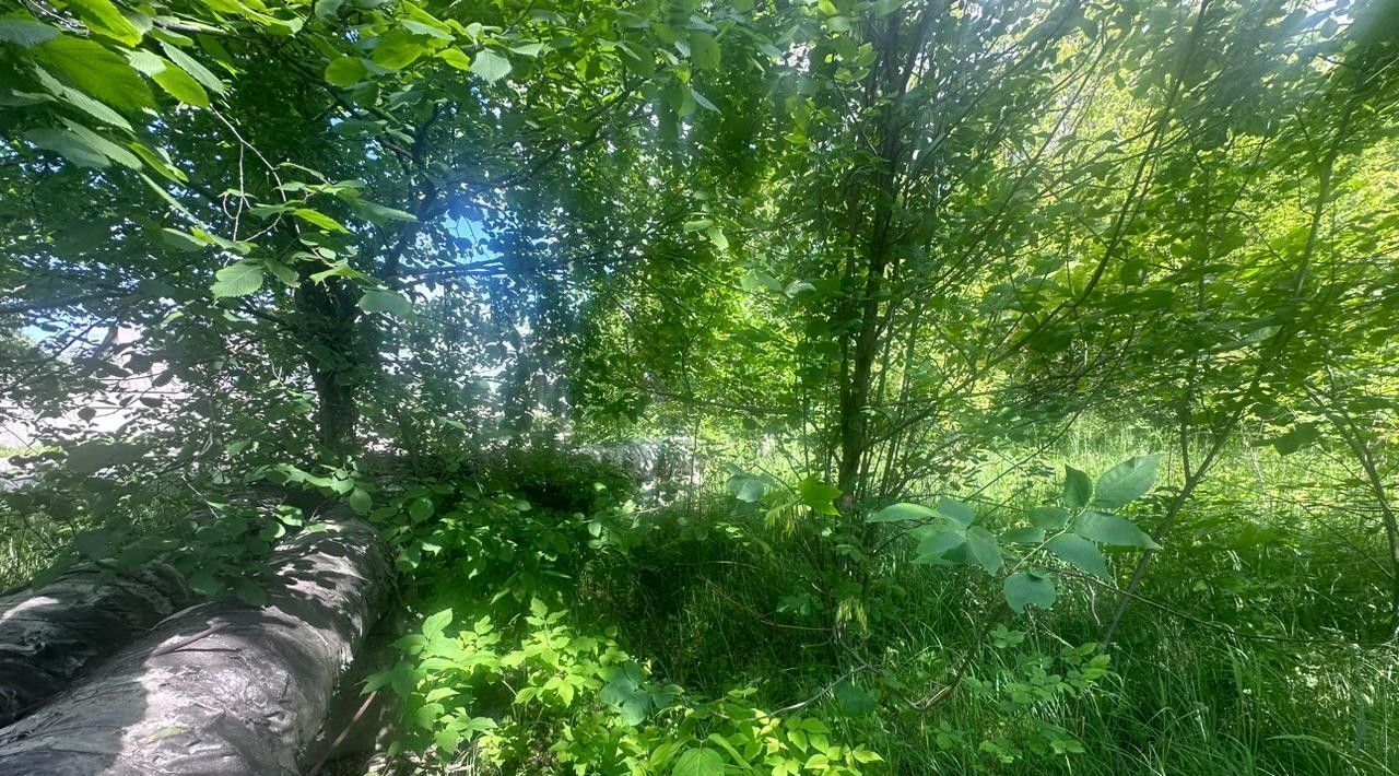 офис городской округ Богородский г Старая Купавна Железнодорожная фото 4