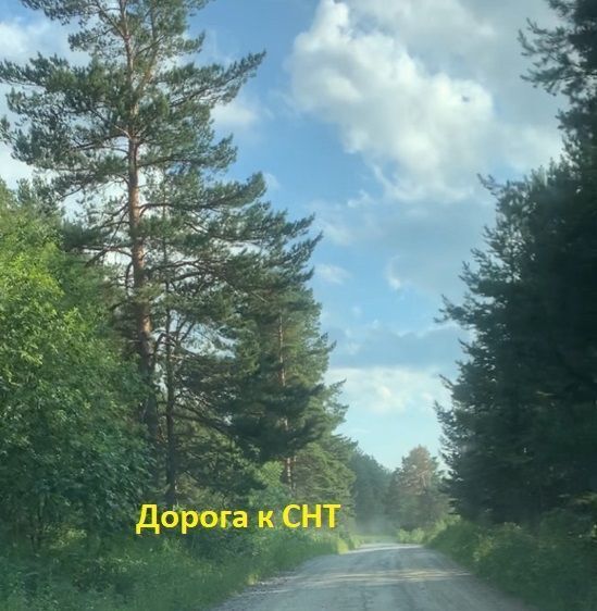 земля г Первоуральск п Билимбай Поляна СНТ фото 7