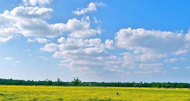 ул Широкая фото