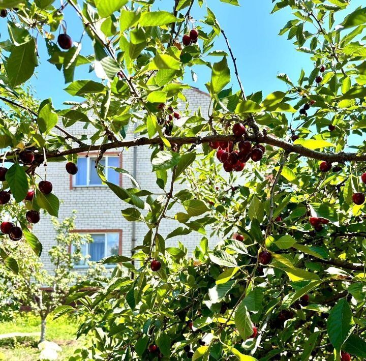 дом г Маркс ул Вокзальная фото 9