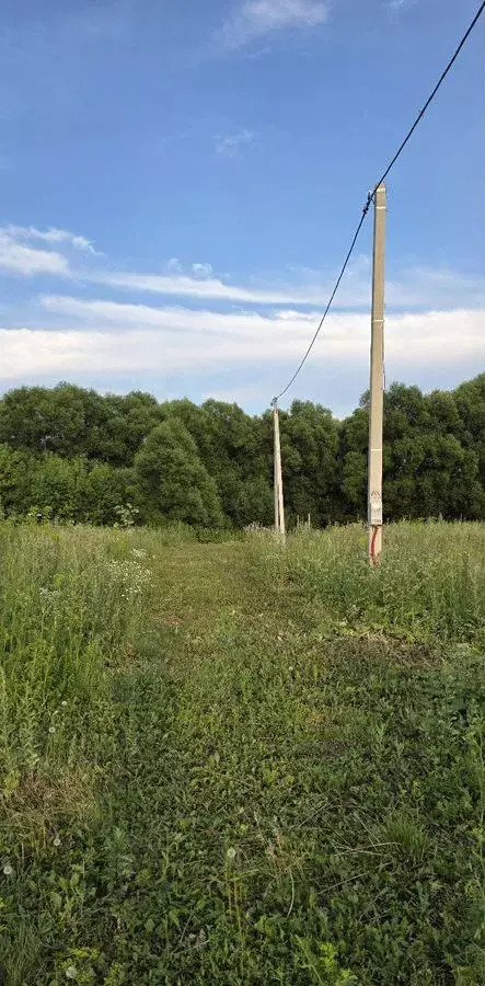 земля г Саранск садовые участки фото 2