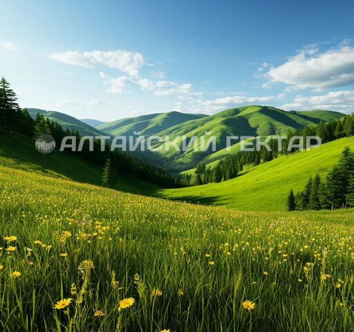 Республика Алтай, Майма фото