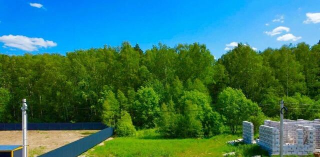 д Северово ул Каштановая Подольск фото
