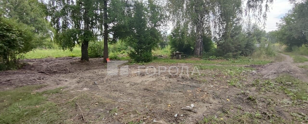 земля г Новоалтайск п Новогорский ул Строителей фото 3