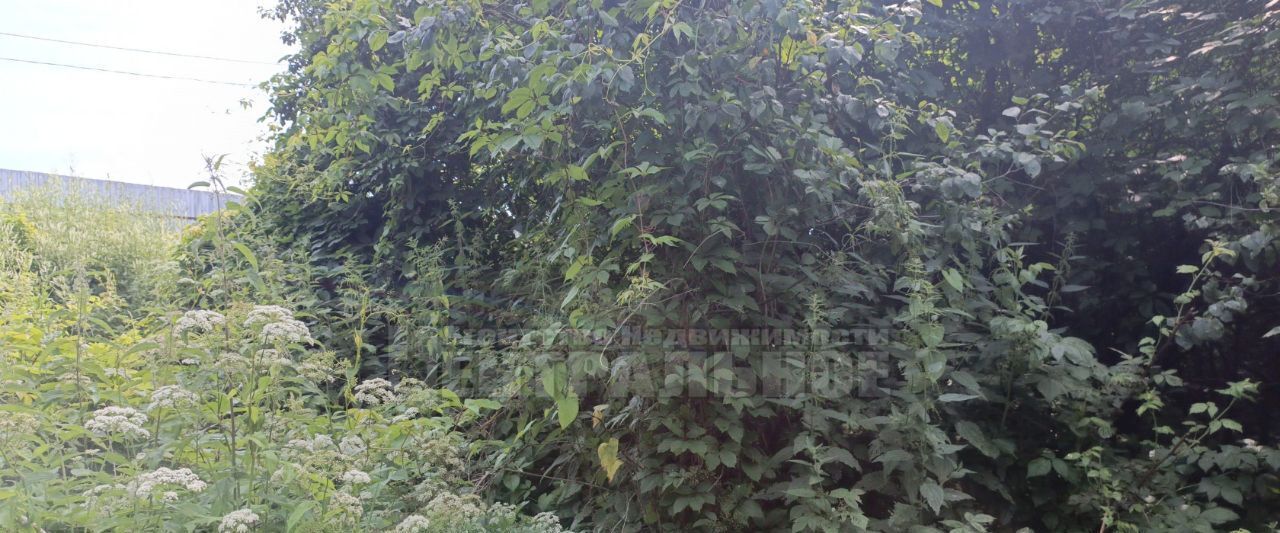 земля г Смоленск р-н Промышленный ул Механизаторов фото 3