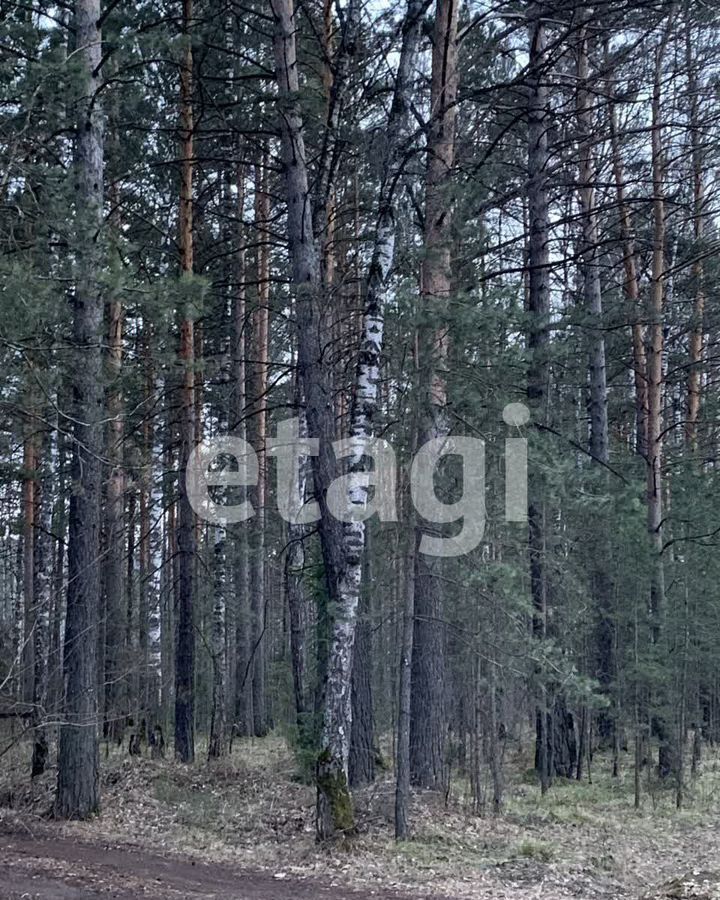 земля г Дивногорск с Овсянка фото 1