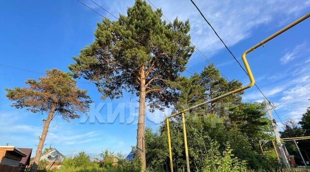 земля р-н Заельцовский Заельцовская фото