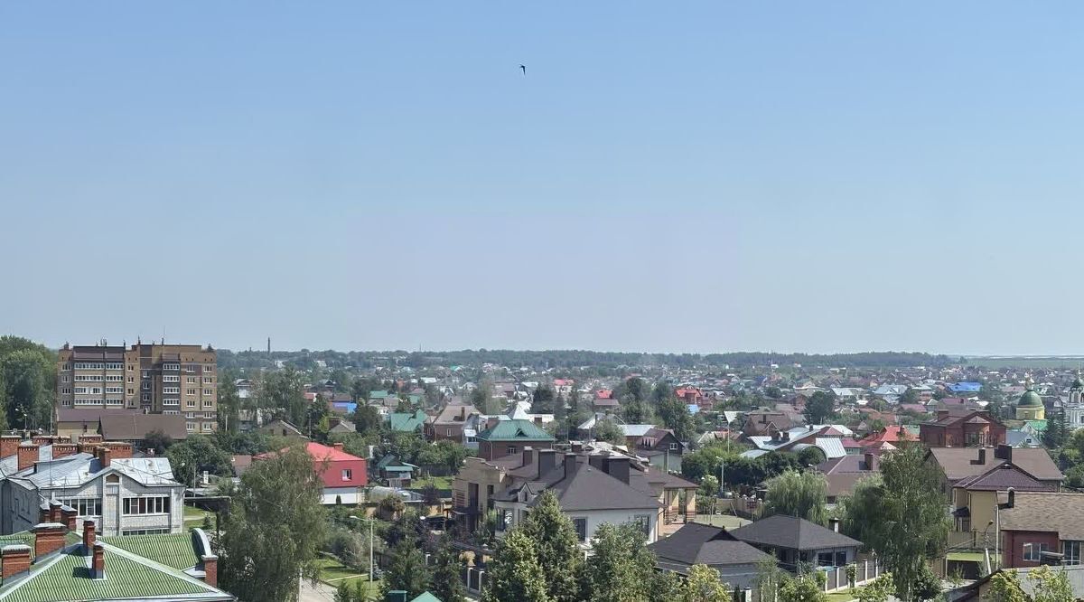 квартира г Йошкар-Ола с Семеновка ул Молодежная 3 фото 4