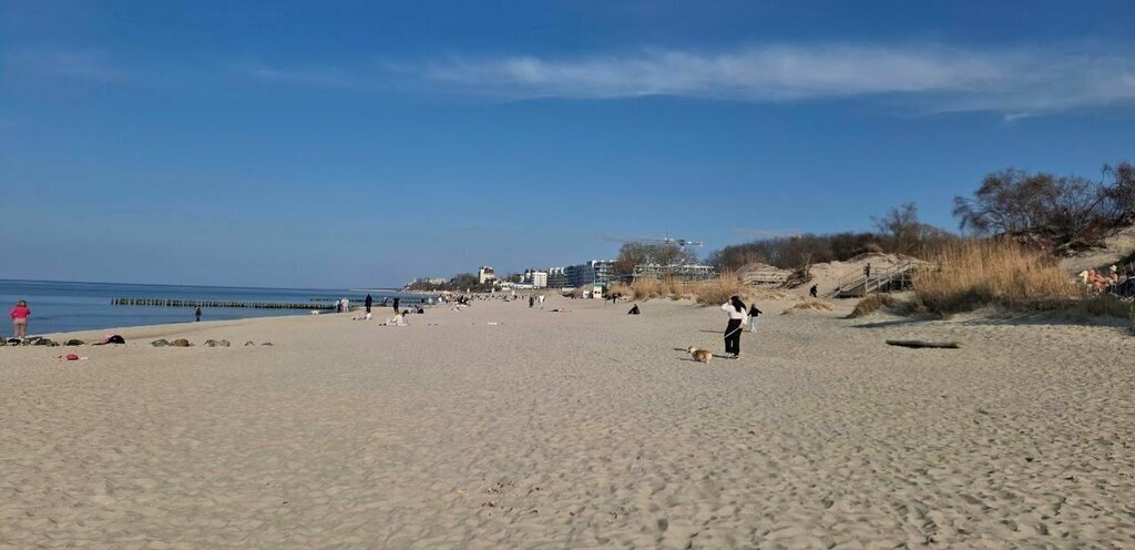 квартира р-н Зеленоградский г Зеленоградск ЖК «Яркий» фото 20