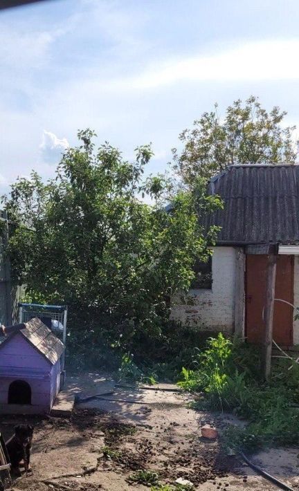 дом г Шебекино ул Маслова 77 фото 12
