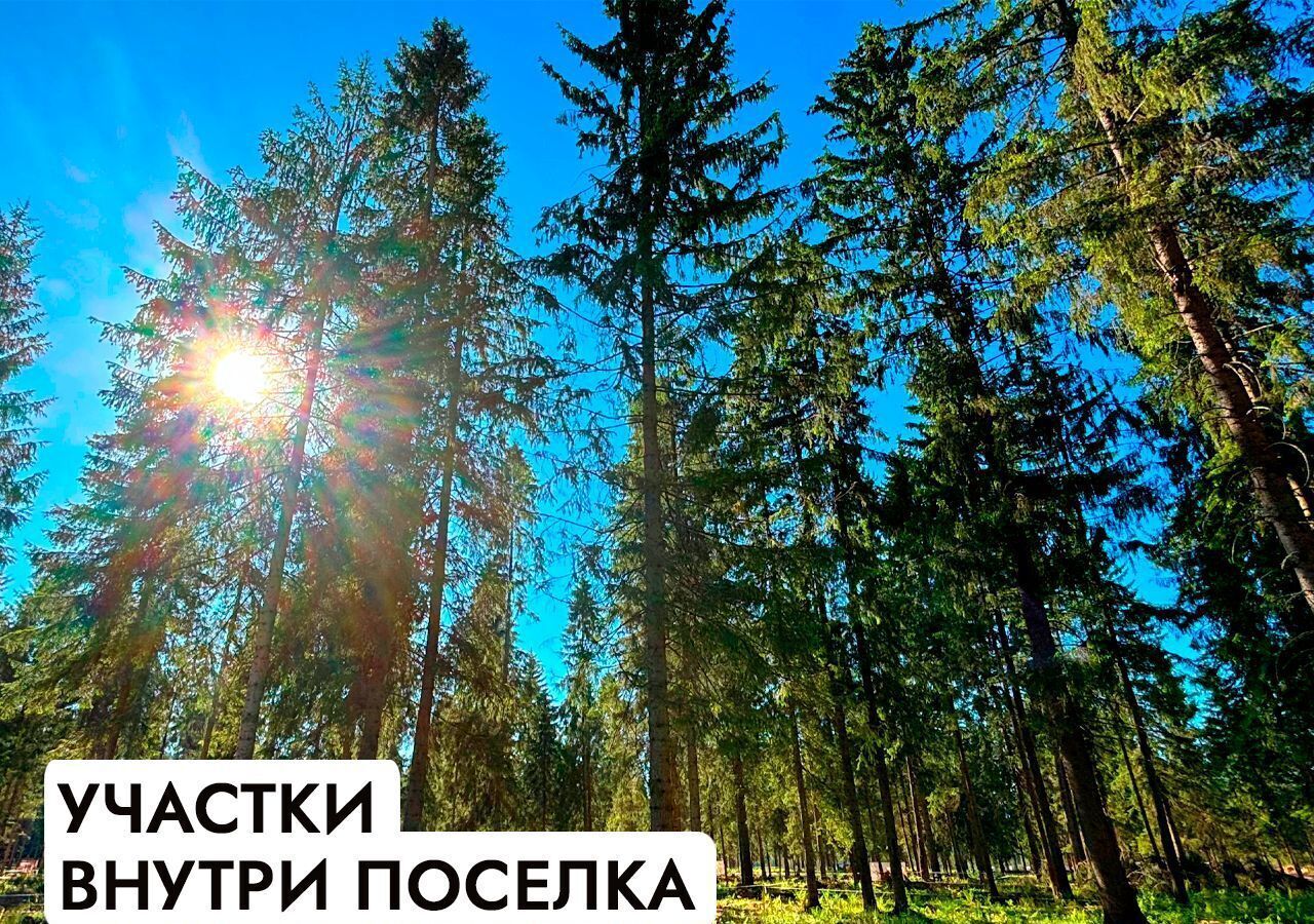 земля г Клин 54 км, эко-посёлок Ели эстейт, Новопетровское, Ленинградское шоссе фото 20
