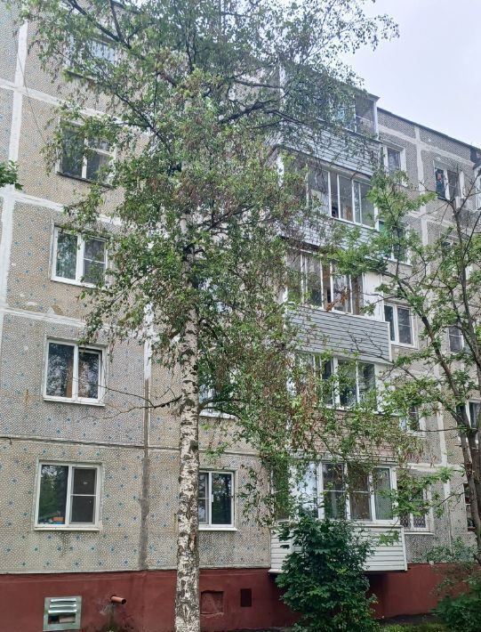 квартира городской округ Богородский г Старая Купавна ул Ленина 20 Железнодорожная фото 12