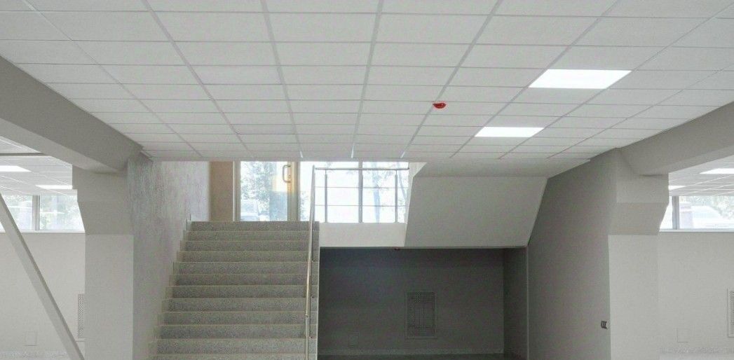 торговое помещение г Красное Село ул Юных пионеров 38к/3 метро Ленинский Проспект фото 20