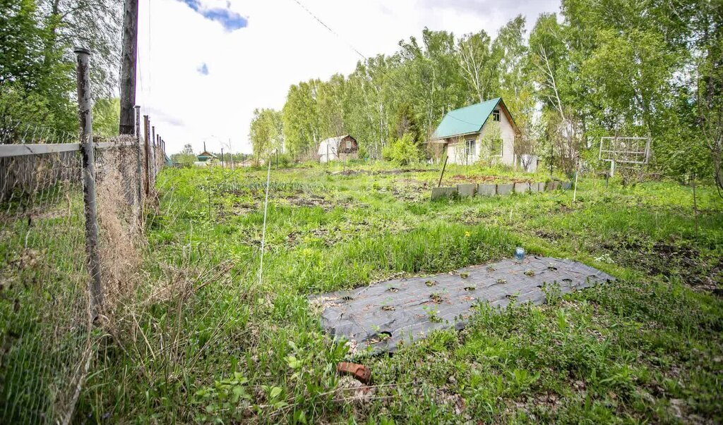 земля г Бердск СНТ Луговое фото 3