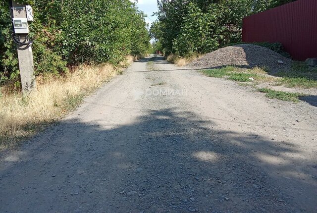 земля садовое товарищество № 20 Ботаника фото