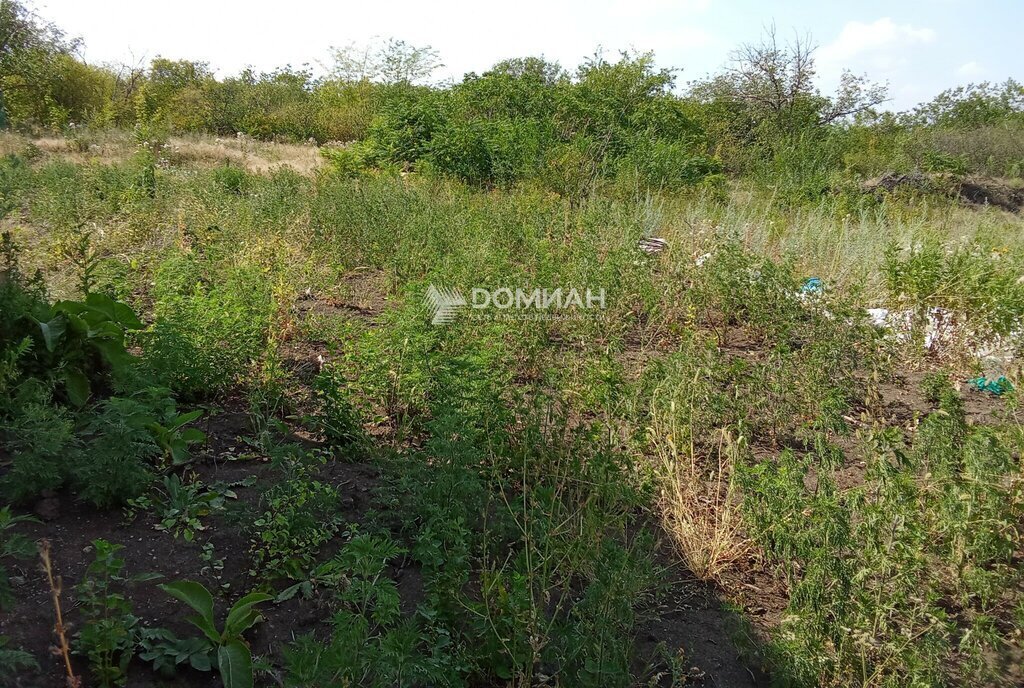 земля г Новочеркасск садовое товарищество № 20 Ботаника фото 6