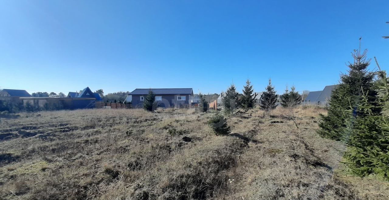 земля р-н Зеленоградский г Зеленоградск ул Ясная Янтарный, СТ Прислово фото 5