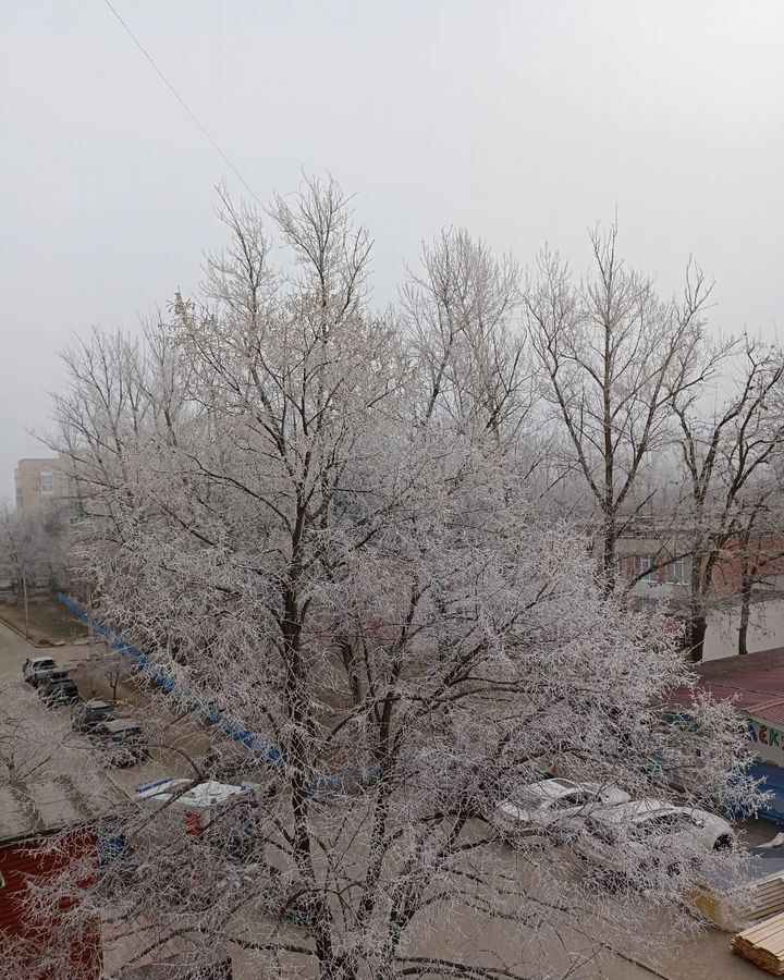 земля г Волгодонск снт Маяк фото 8