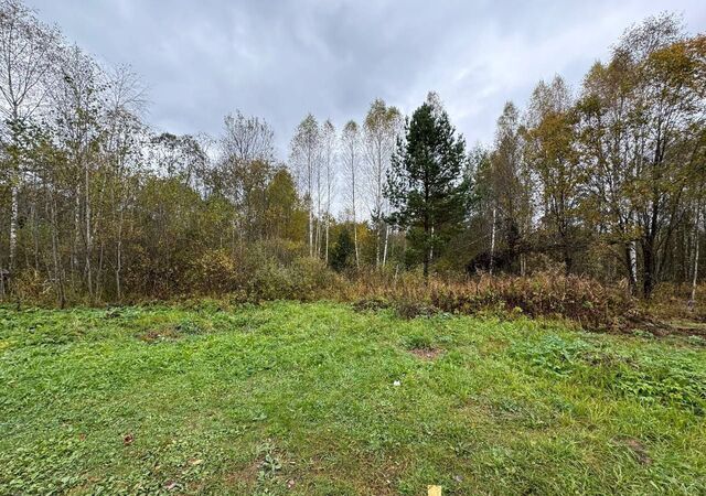 Ленинградское шоссе, 5 км, Фиалковая ул, Новозавидовский фото