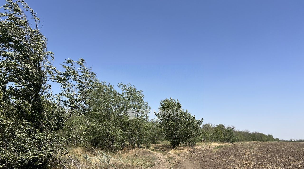 офис г Новочеркасск дп Донские Зори 178 фото 14