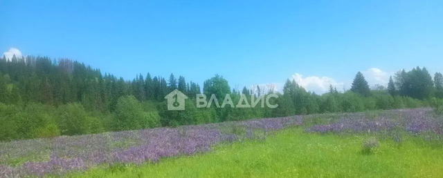 земля р-н Мотовилихинский коттеджный пос. Запрудский Лес, 4-я Российская ул фото
