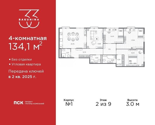 пр-кт Бакунина 33 фото