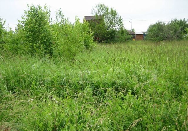 ул Карла Маркса 74 Карачевское городское поселение фото