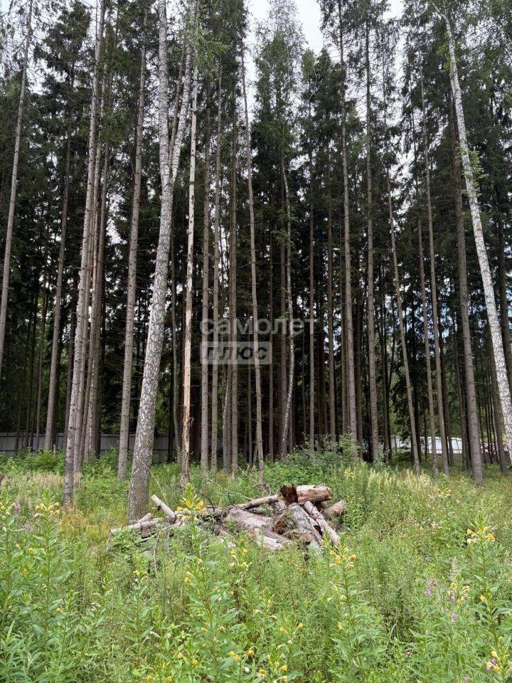 земля г Химки мкр Новогорск ул. Сосновая, Пятницкое шоссе фото 4