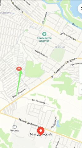 Мичуринское сельское поселение, СДТ Буревестник-3, Брянск фото