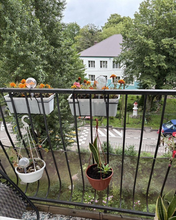 квартира г Пионерский ул Донская 6а фото 6