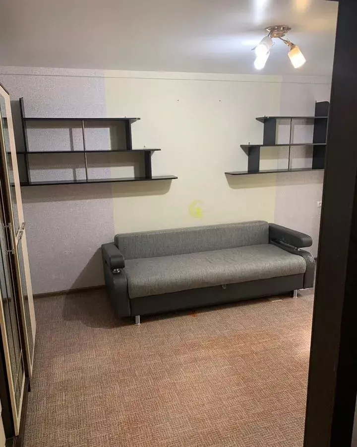 квартира г Омск п Биофабрика р-н Центральный 22 фото 1