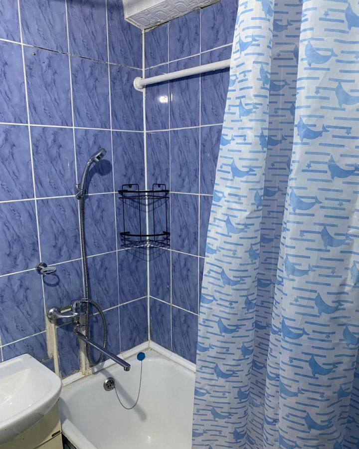 квартира г Омск п Биофабрика р-н Центральный 22 фото 16