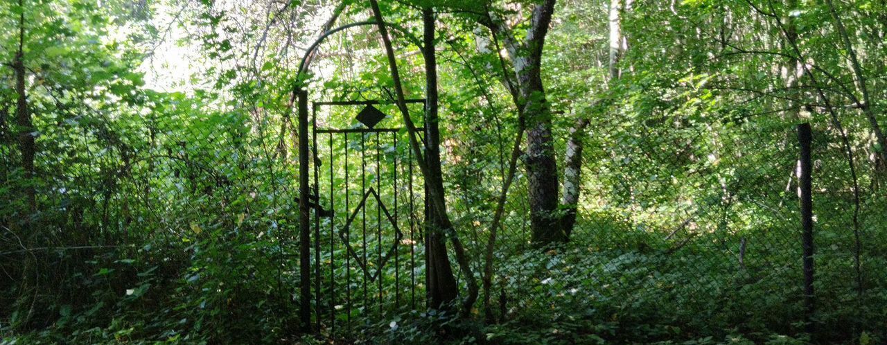 земля р-н Туапсинский г Туапсе садовое товарищество Авангард фото 8