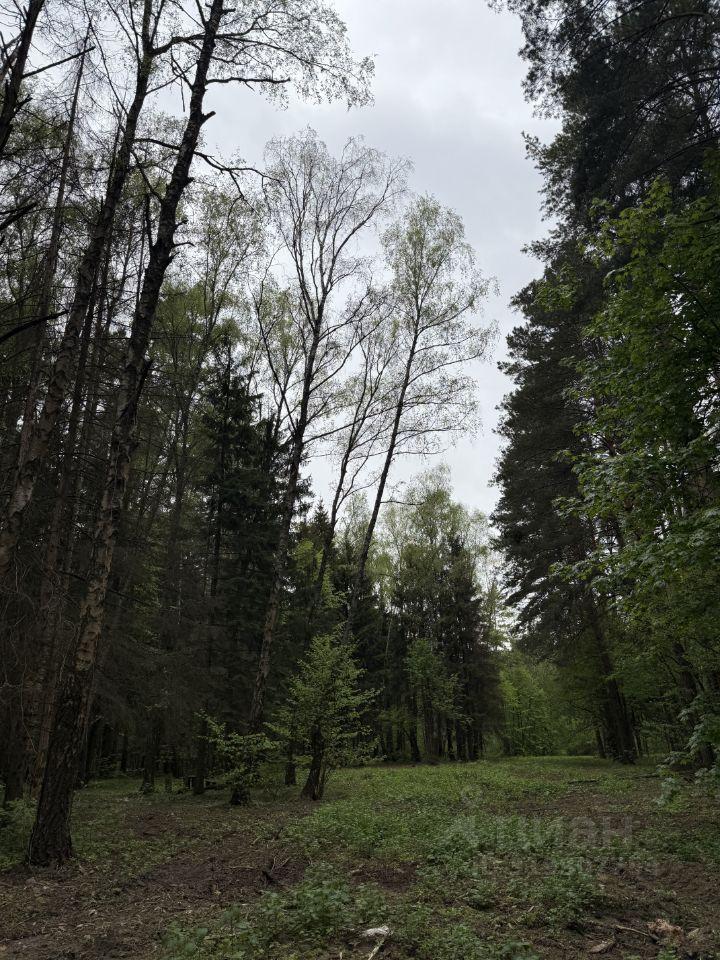 земля г Домодедово д Акулинино фото 3