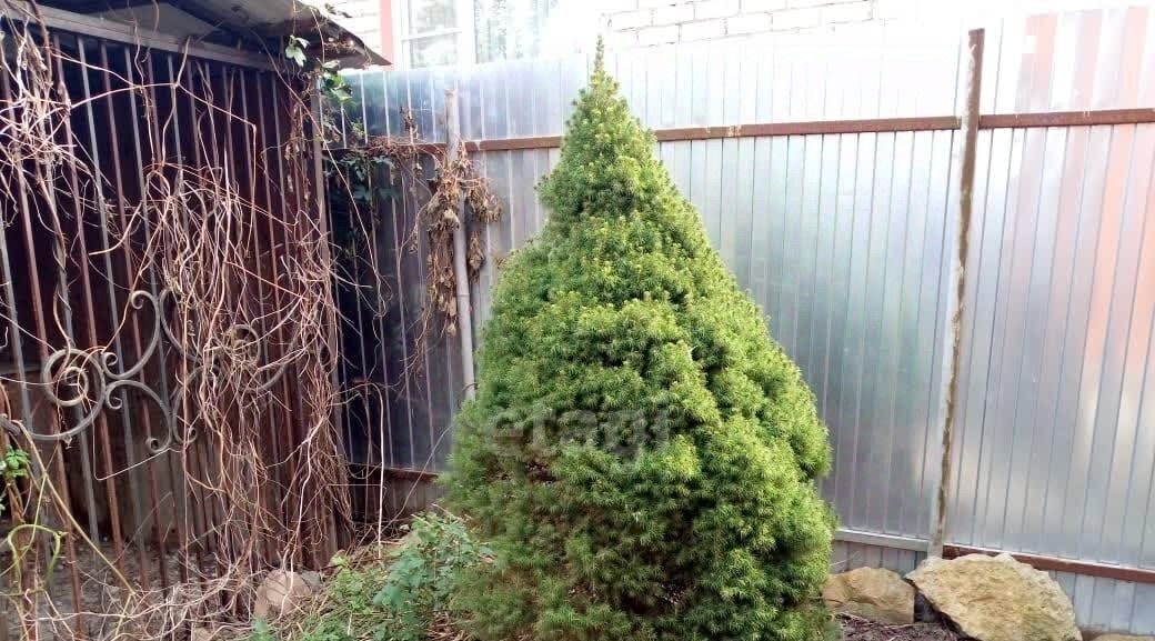 дом г Орел р-н Заводской ул Калинина 28 фото 18