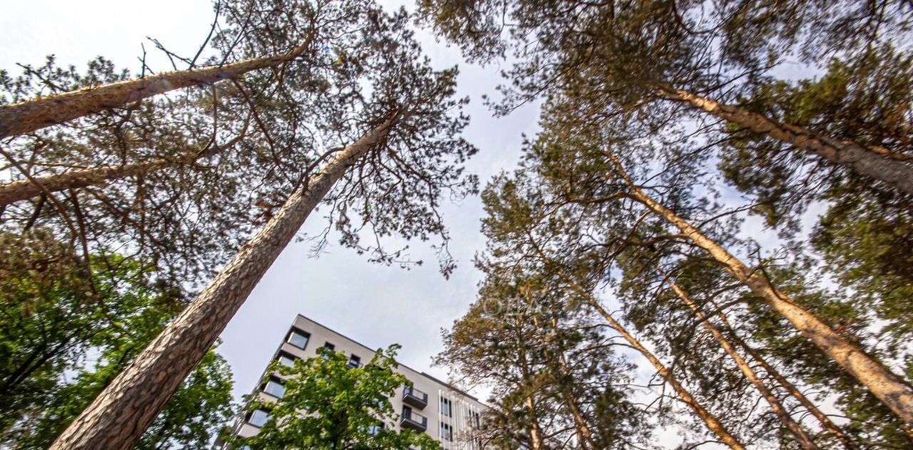 квартира г Новосибирск Заельцовская ш Дачное 20б фото 4