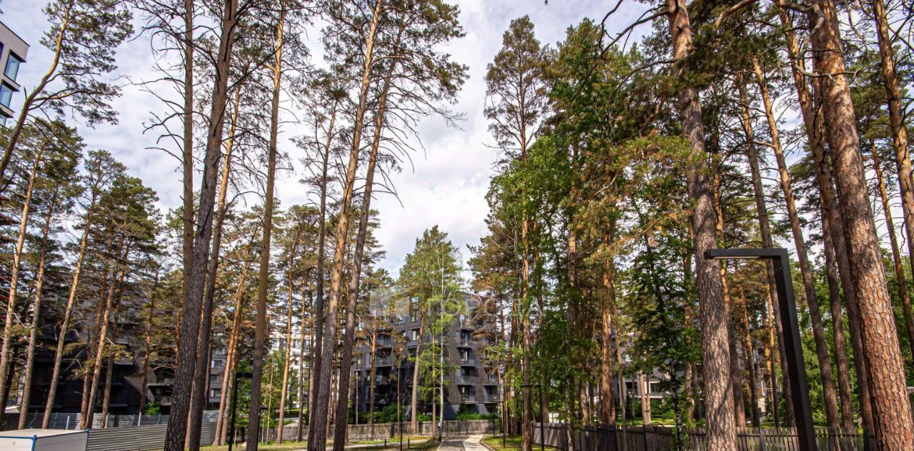 квартира г Новосибирск Заельцовская ш Дачное 20б фото 3