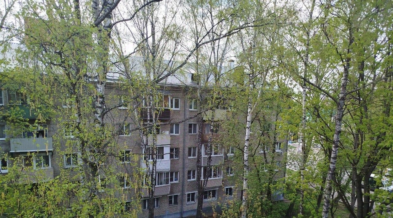 квартира г Наро-Фоминск р-н Центральный проезд Маяковский 24 Пушкино фото 9