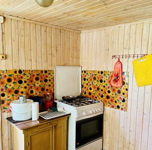снт Ивушка Раменское, 63 фото