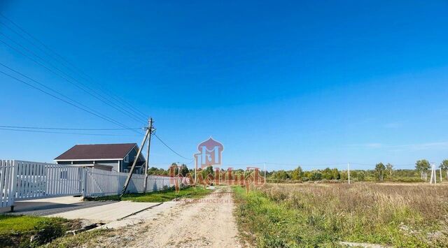 земля д Лизуново Каринское муниципальное образование фото