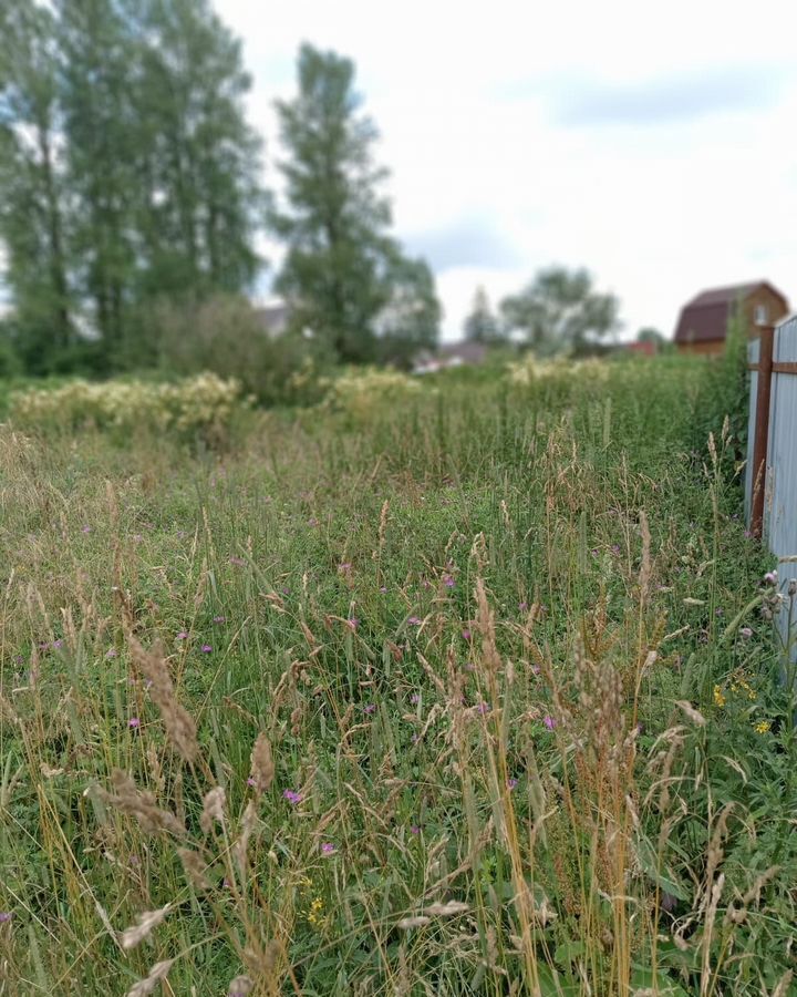 земля г Псков посёлок Шабаново Завеличье фото 1